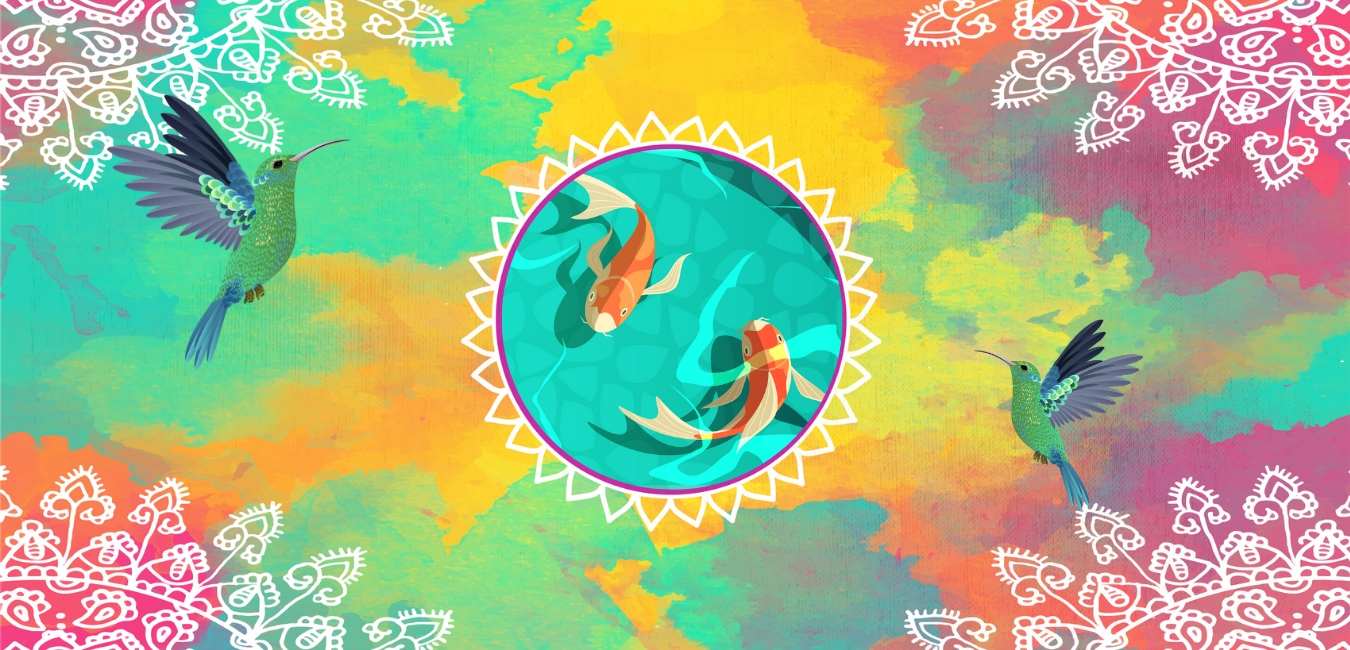zonauniversal